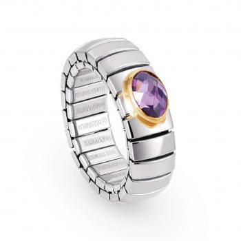 Nomination  Ringe XTE   VIOLETT 041510/001