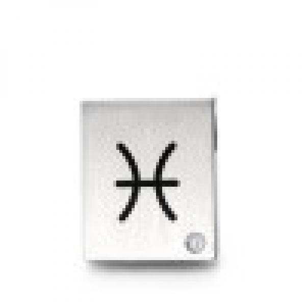 TeNo Anhänger   049.1012.Z12