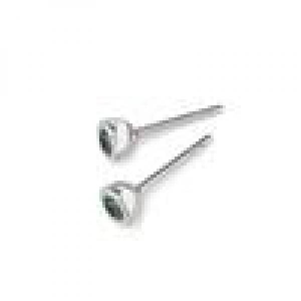 TeNo Ohrstecker Joy Edelstahl mit Jungle Green Zirkonia  594001