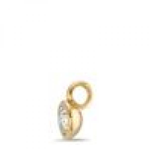 TeNo Charm-Anhänger Joy Gold  Edelstahl mit Crystal  594056