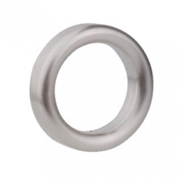 EDvita Anhänger  AN300.1 von Ernstes Design