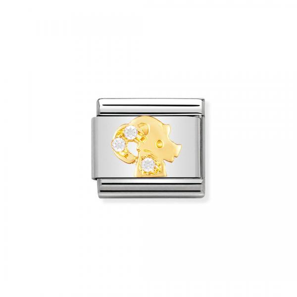 Nomination  Comp. Classic   Steinbock 030302/10